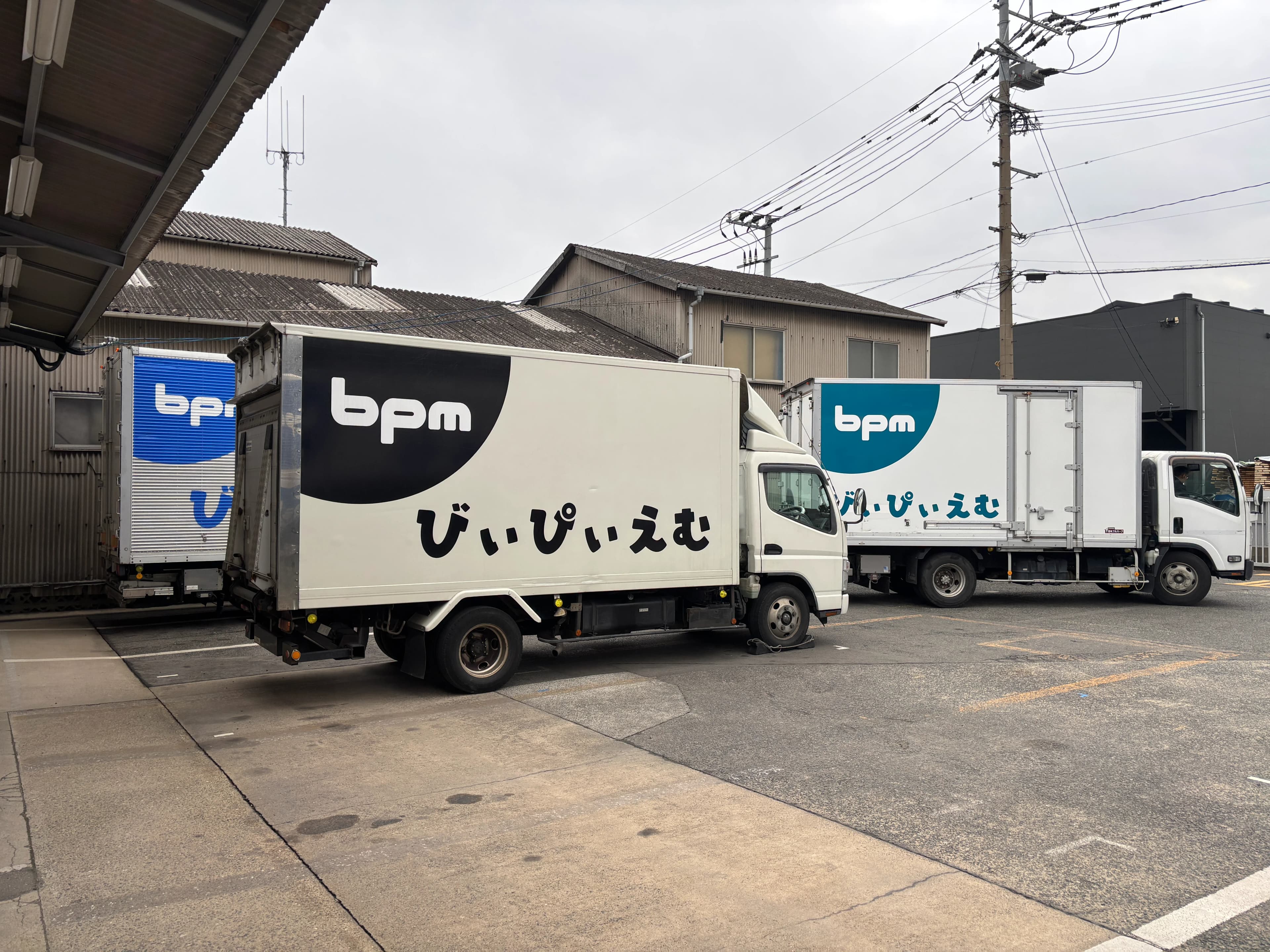 採用情報